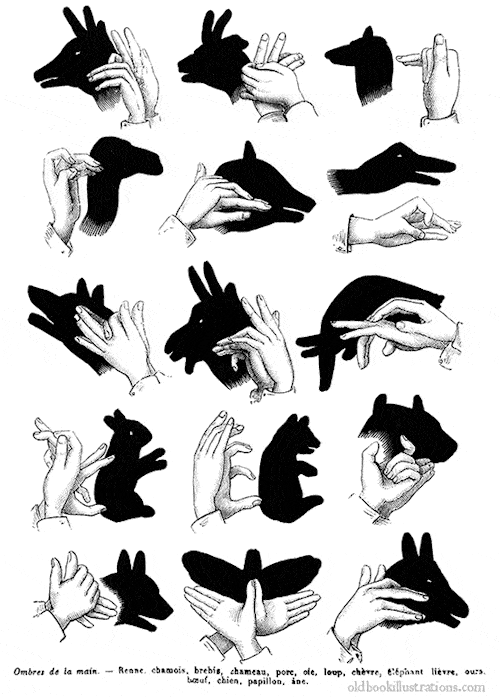 Shadow puppets
